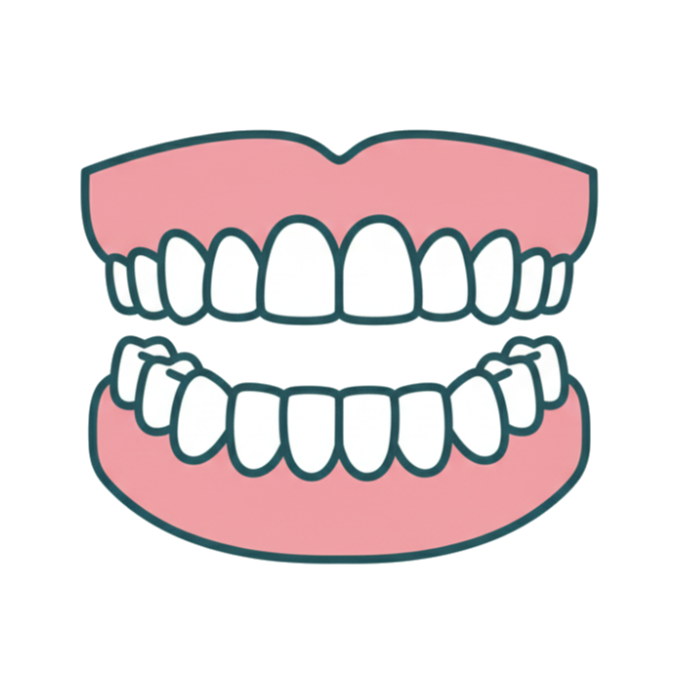 Ilustración de una dentadura completa superior e inferior